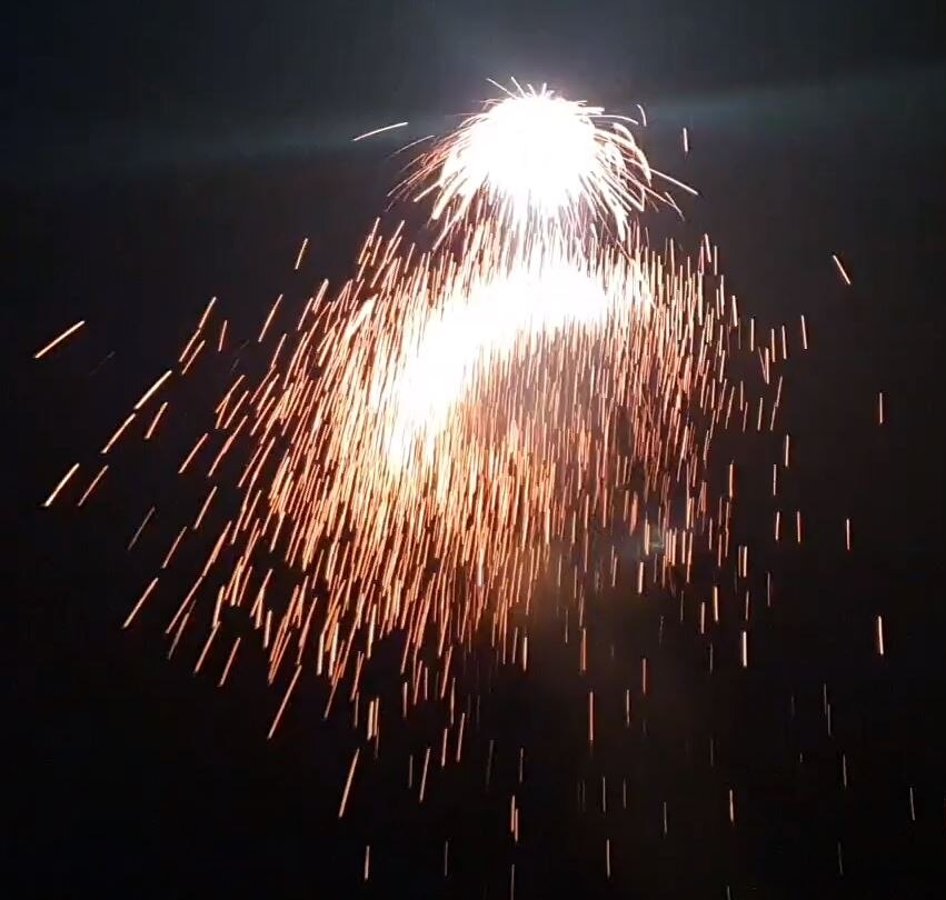 Bees 4 er Set Feuervögel